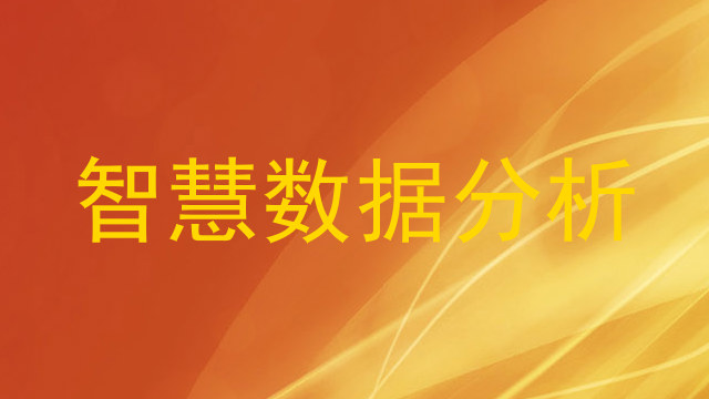 智慧数据分析