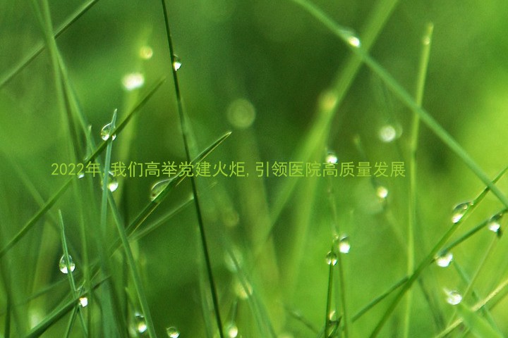 2022年,我们高举党建火炬,引领医院高质量发展