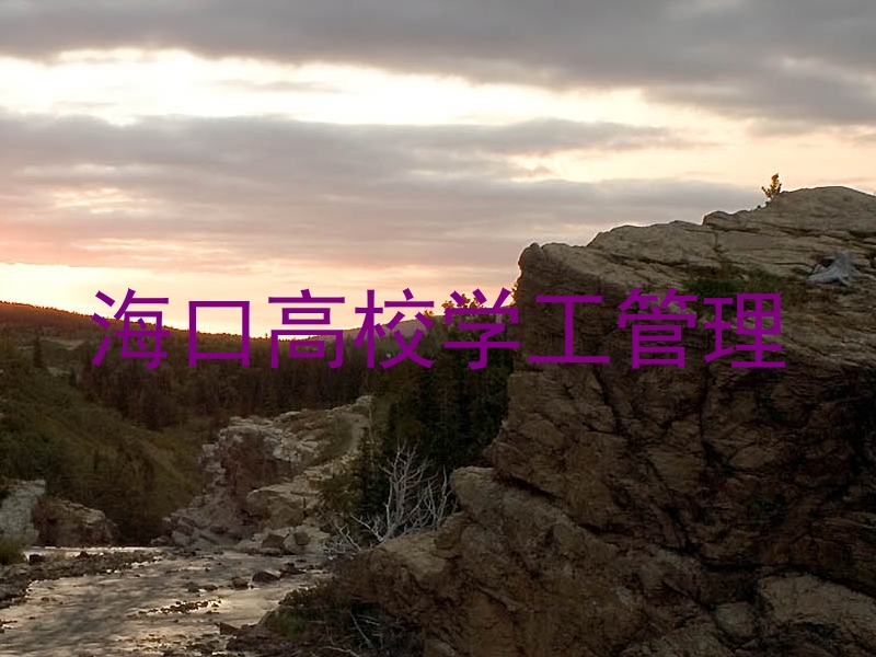 海口高校学工管理