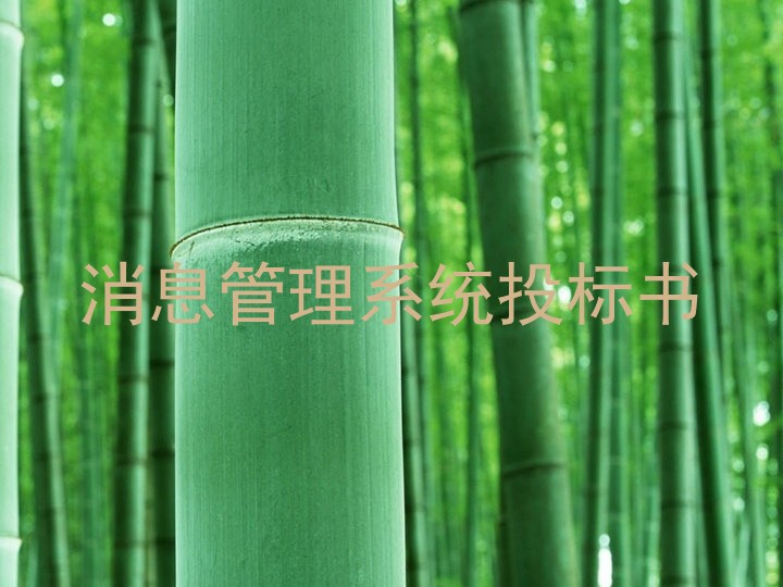 消息管理系统投标书