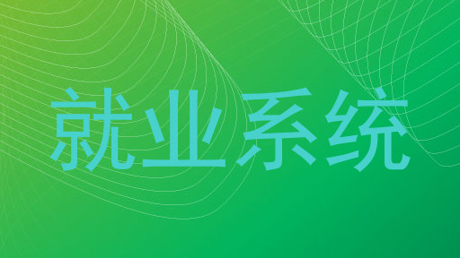 就业系统