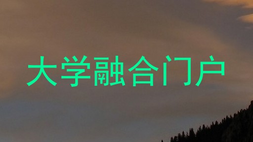 大学融合门户