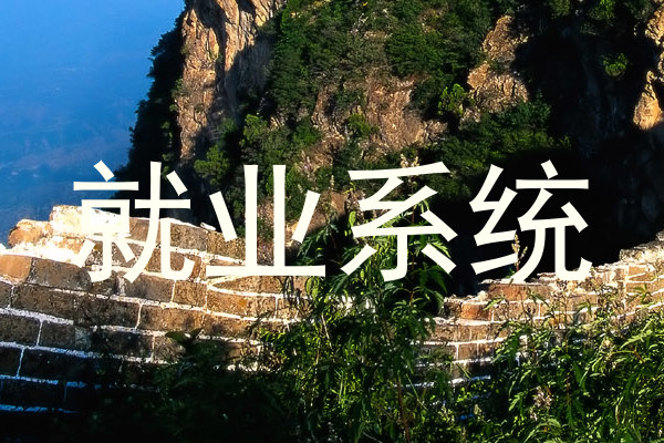 就业系统