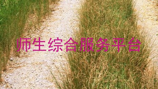 师生综合服务平台