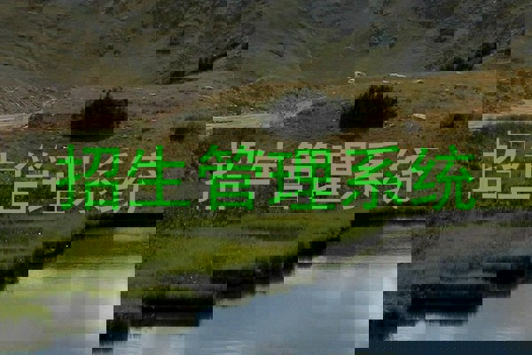 招生管理系统