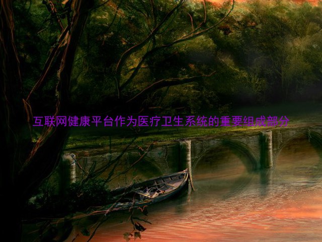 互联网健康平台作为医疗卫生系统的重要组成部分