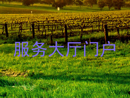 服务大厅门户