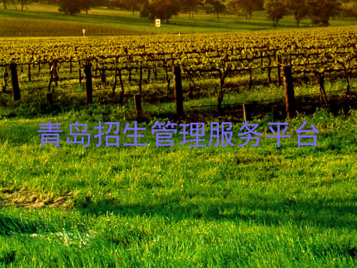 青岛招生管理服务平台