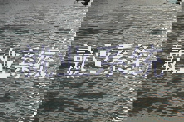 就业系统