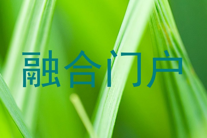 融合门户
