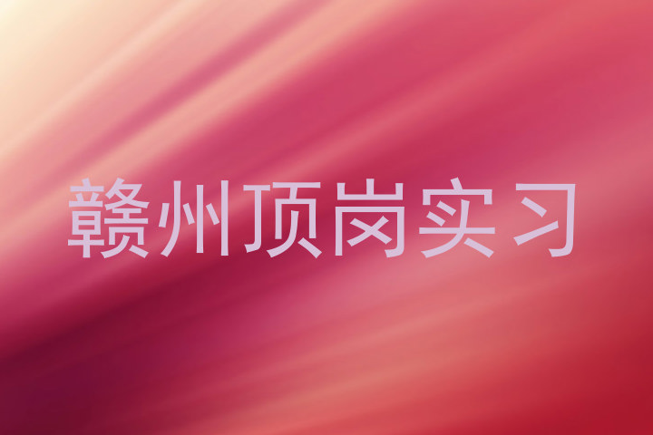 赣州顶岗实习