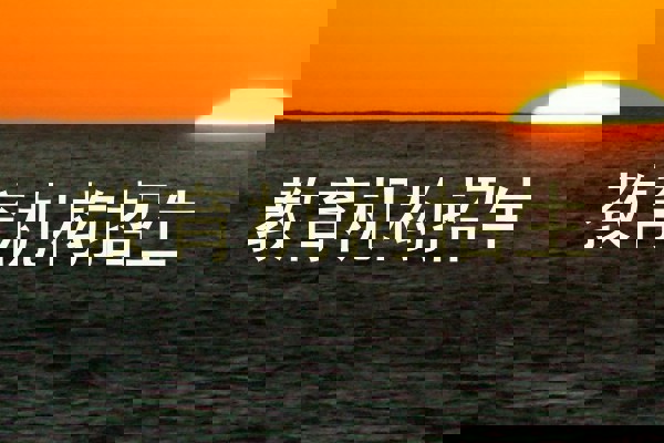 教育机构招生