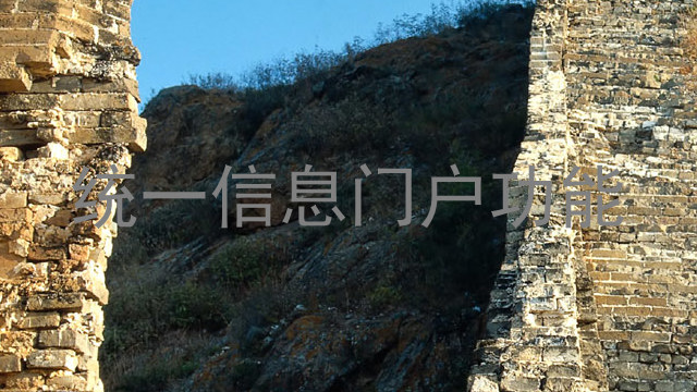 统一信息门户功能