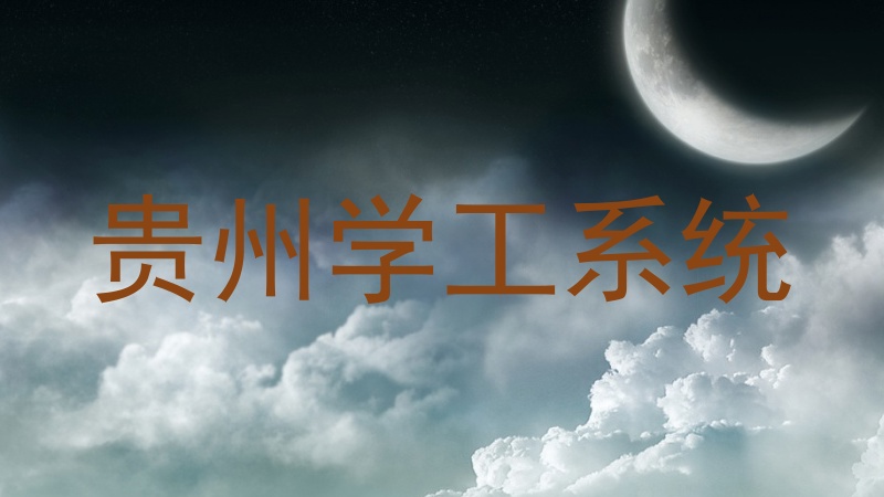 贵州学工系统
