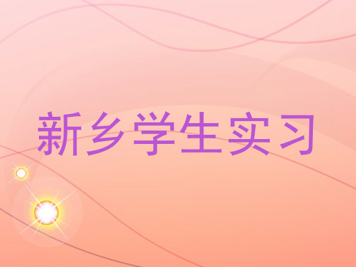 新乡学生实习