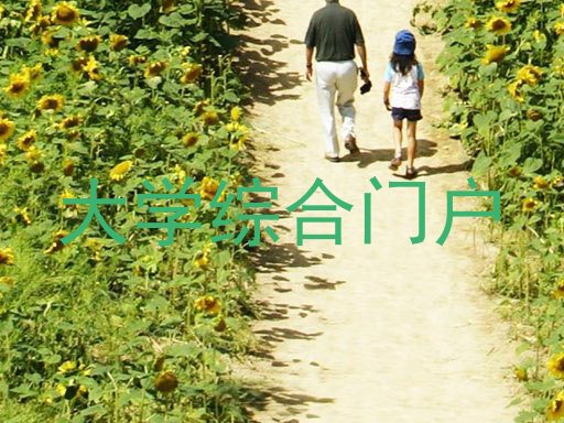 大学综合门户