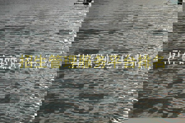 招生管理服务平台排名