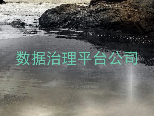 数据治理平台公司