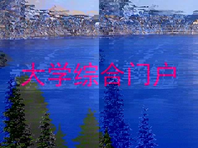大学综合门户