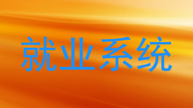 就业系统