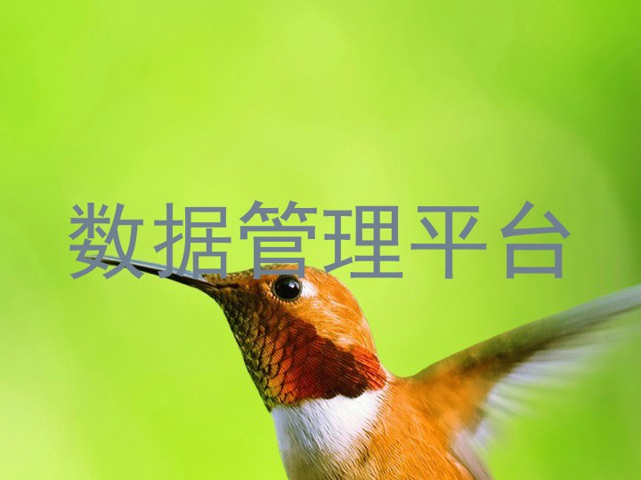 数据管理平台