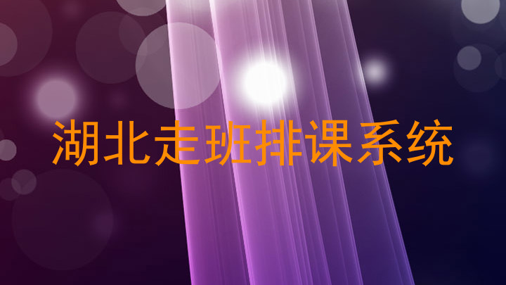 湖北走班排课系统
