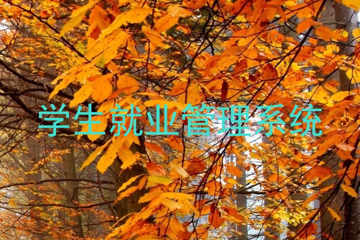 学生就业管理系统
