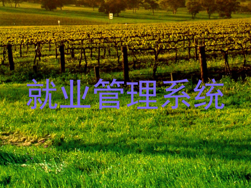 就业管理系统