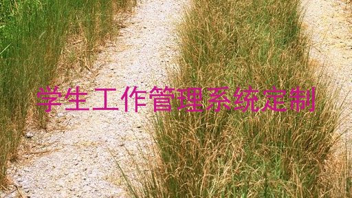 学生工作管理系统定制