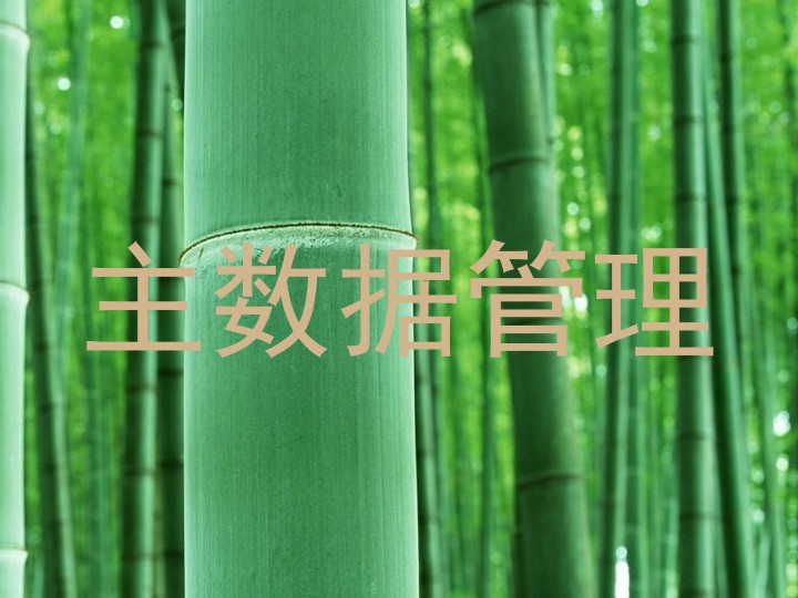 主数据管理