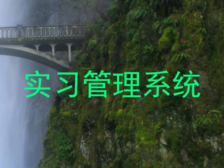 实习管理系统
