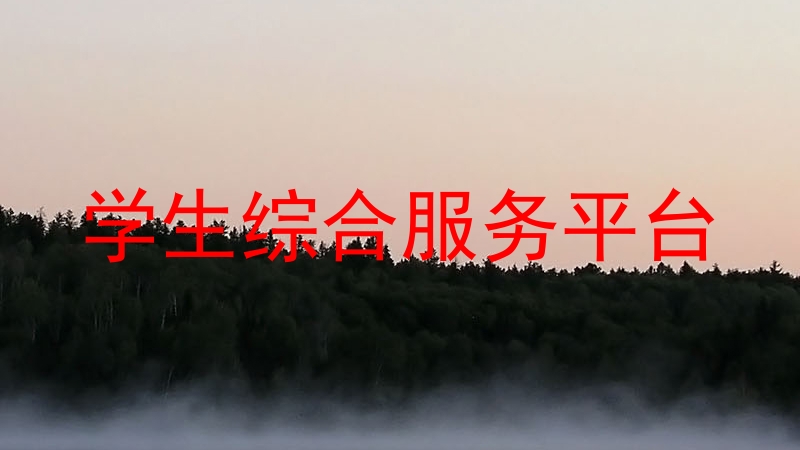 学生综合服务平台