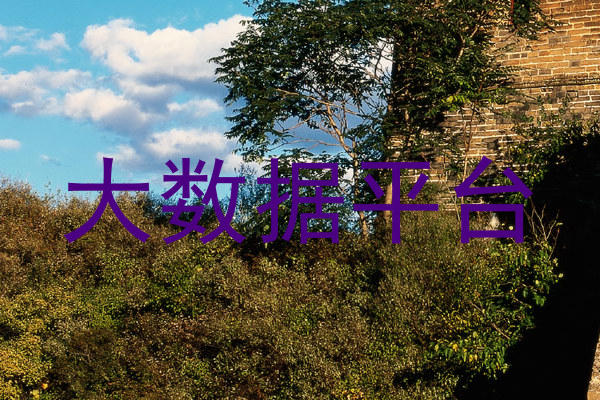 大数据平台