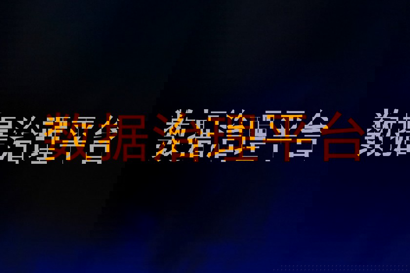 数据治理平台