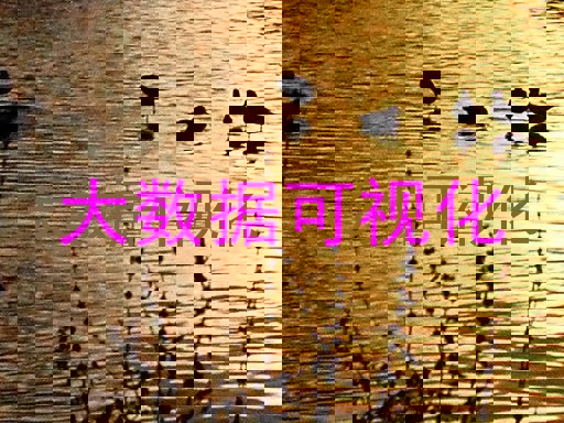 大数据可视化