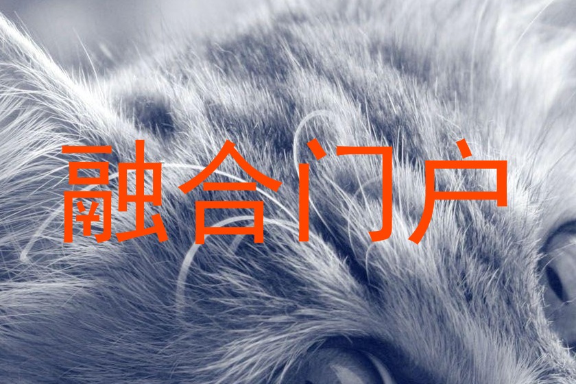 融合门户