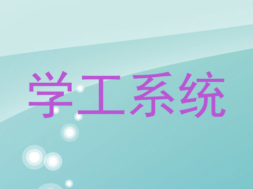 学工系统