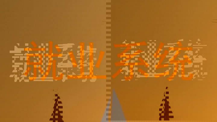 就业系统