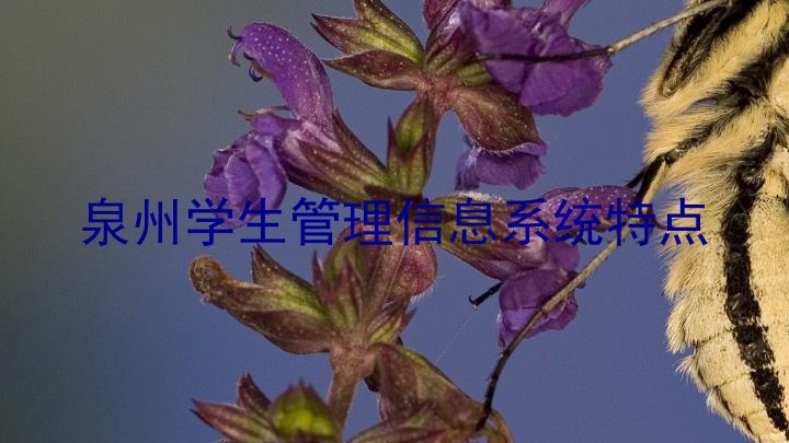 泉州学生管理信息系统特点