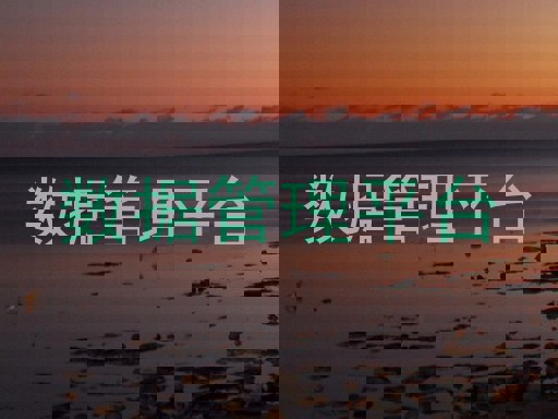 数据管理平台