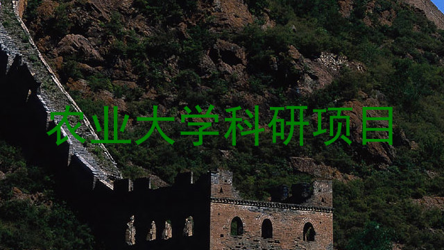 农业大学科研项目