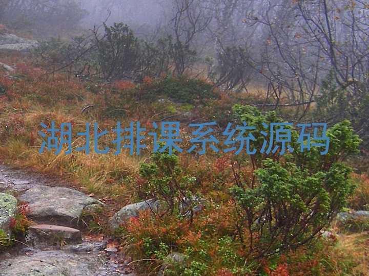 湖北排课系统源码