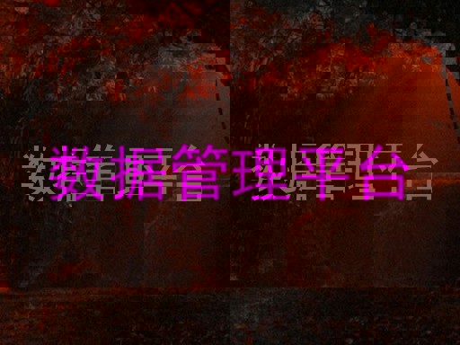 数据管理平台