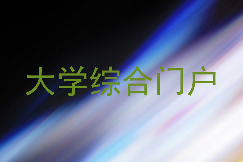 大学综合门户