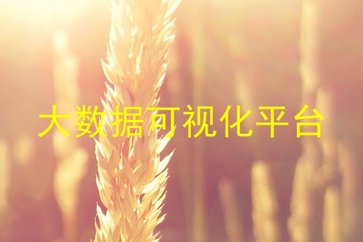 大数据可视化平台
