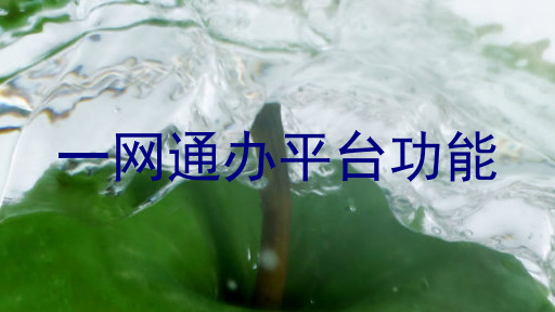 一网通办平台功能