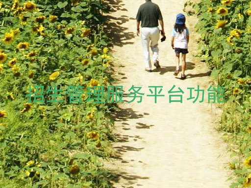 招生管理服务平台功能
