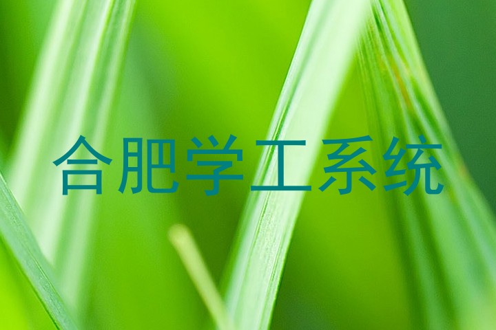 合肥学工系统