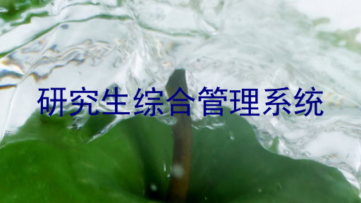 研究生综合管理系统