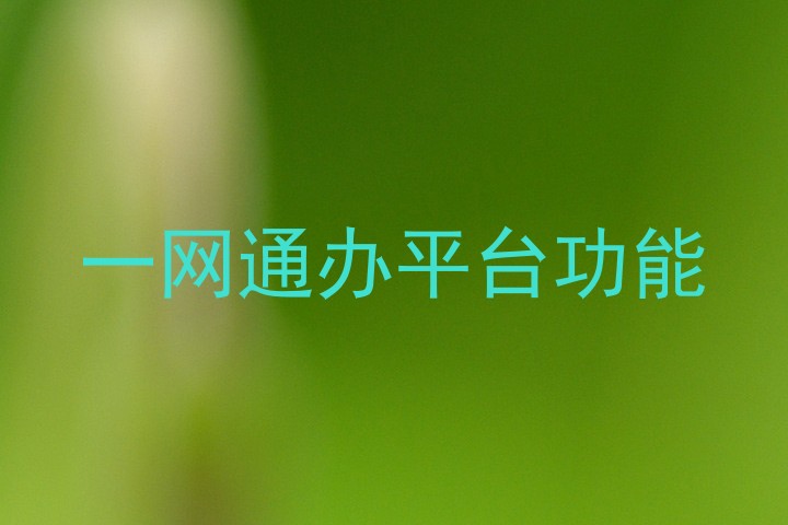 一网通办平台功能